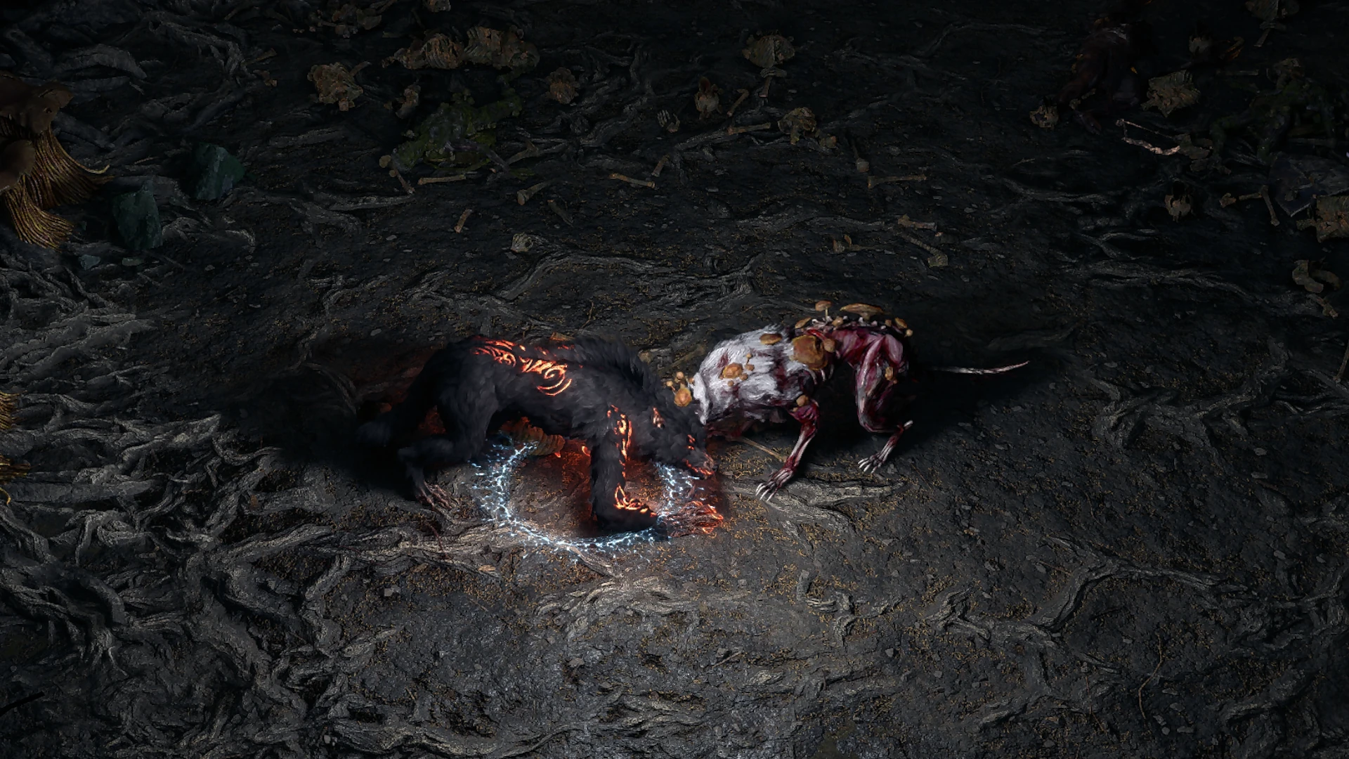Fungal Wolf enemy encountered in Grim Tangle in Path of Exile 2