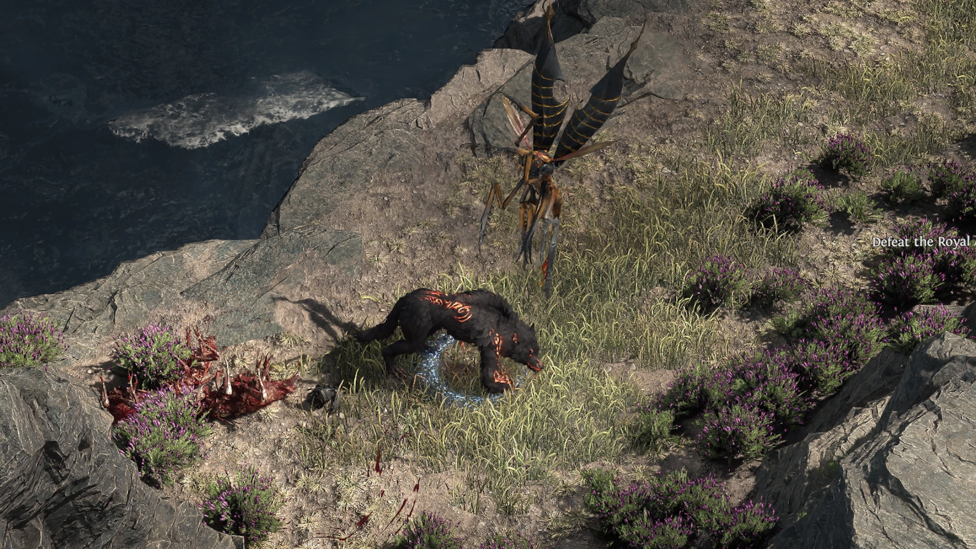 Gargantuan Wasp enemy encountered in Arastas in Path of Exile 2