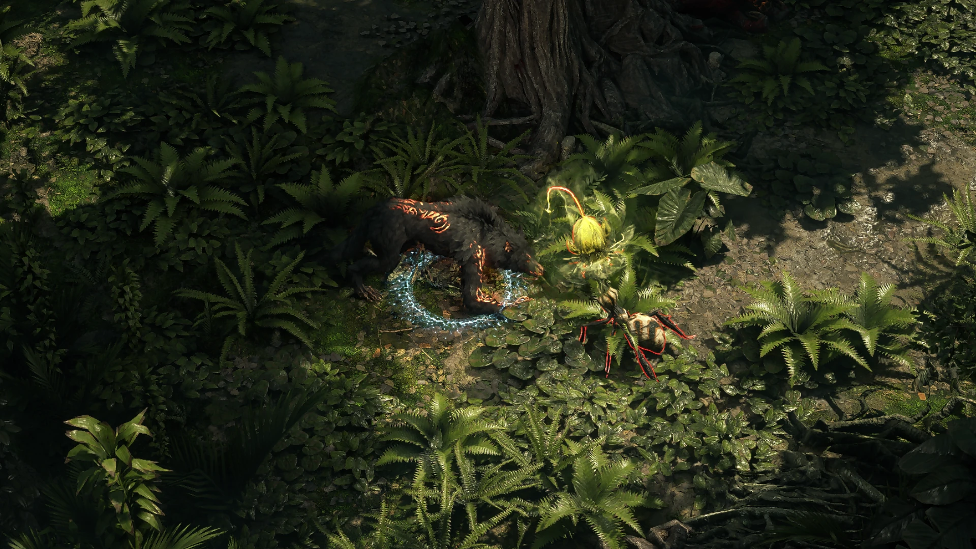 Bane Sapling enemy encountered in Jungle Ruins in Path of Exile 2