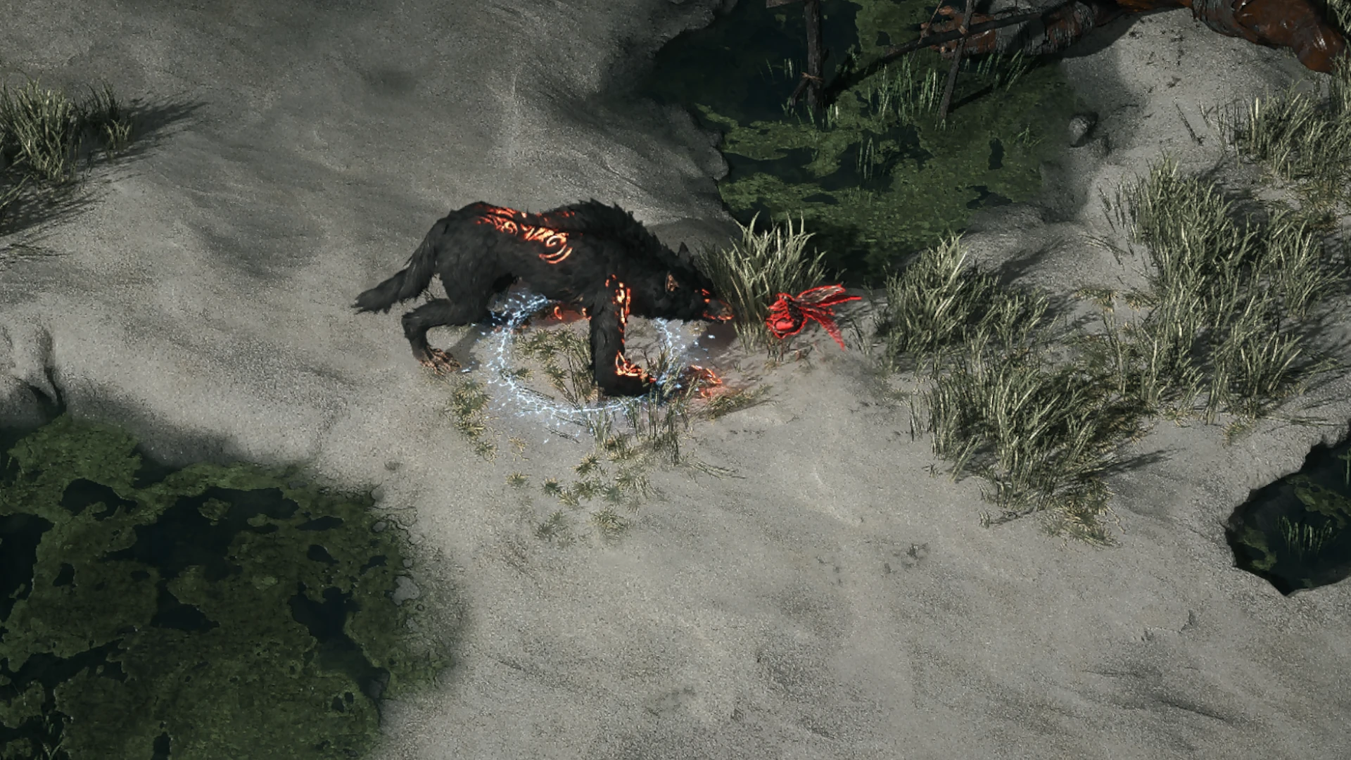 Bloodthief Wasp enemy encountered in Sandswept Marsh in Path of Exile 2
