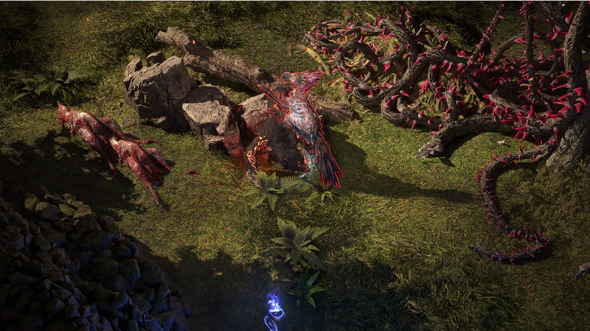 Bramble Rhoa enemy encountered in Hunting Grounds in Path of Exile 2