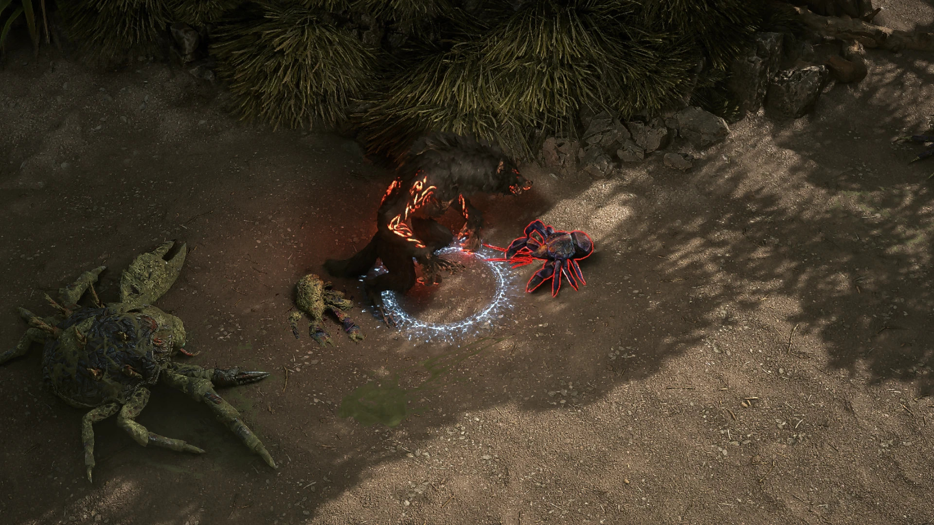 Coconut Crab encountered in Whakapanu Island in Path of Exile 2