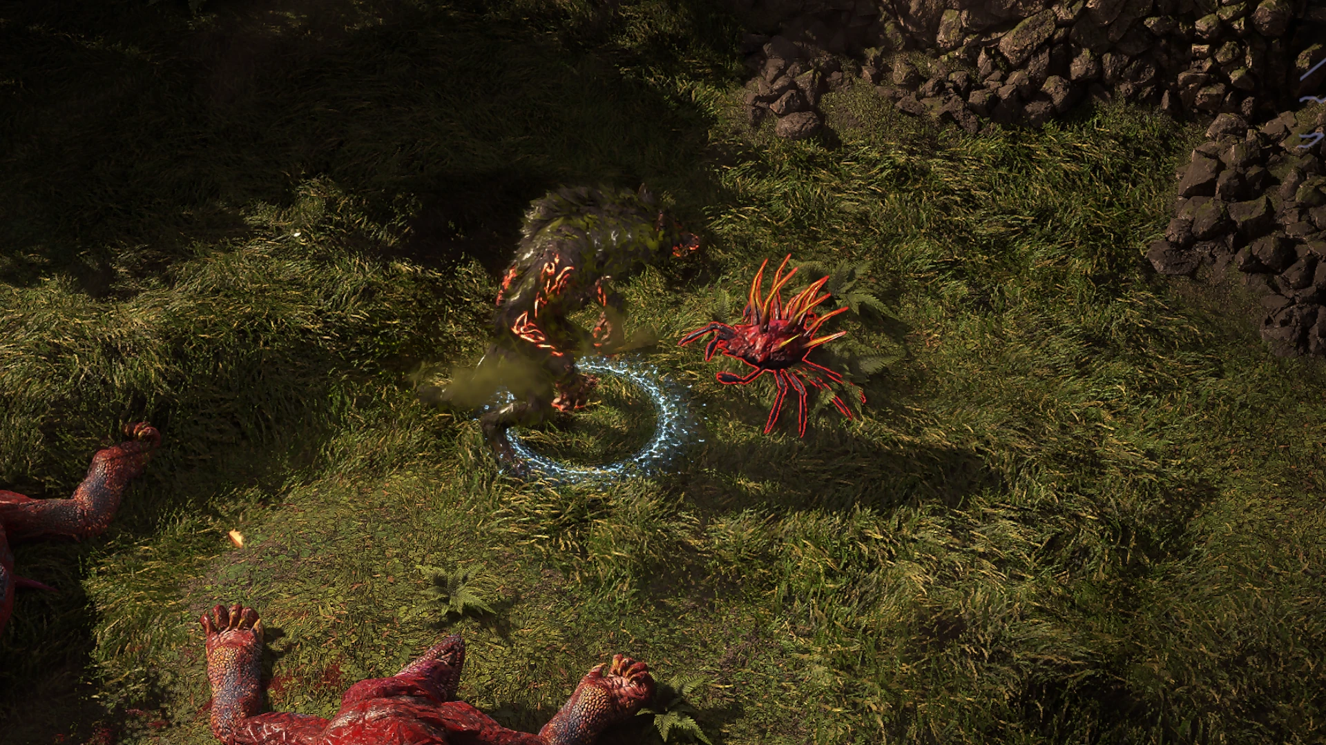 Venomous Crab enemy encountered in Hunting Grounds in Path of Exile 2