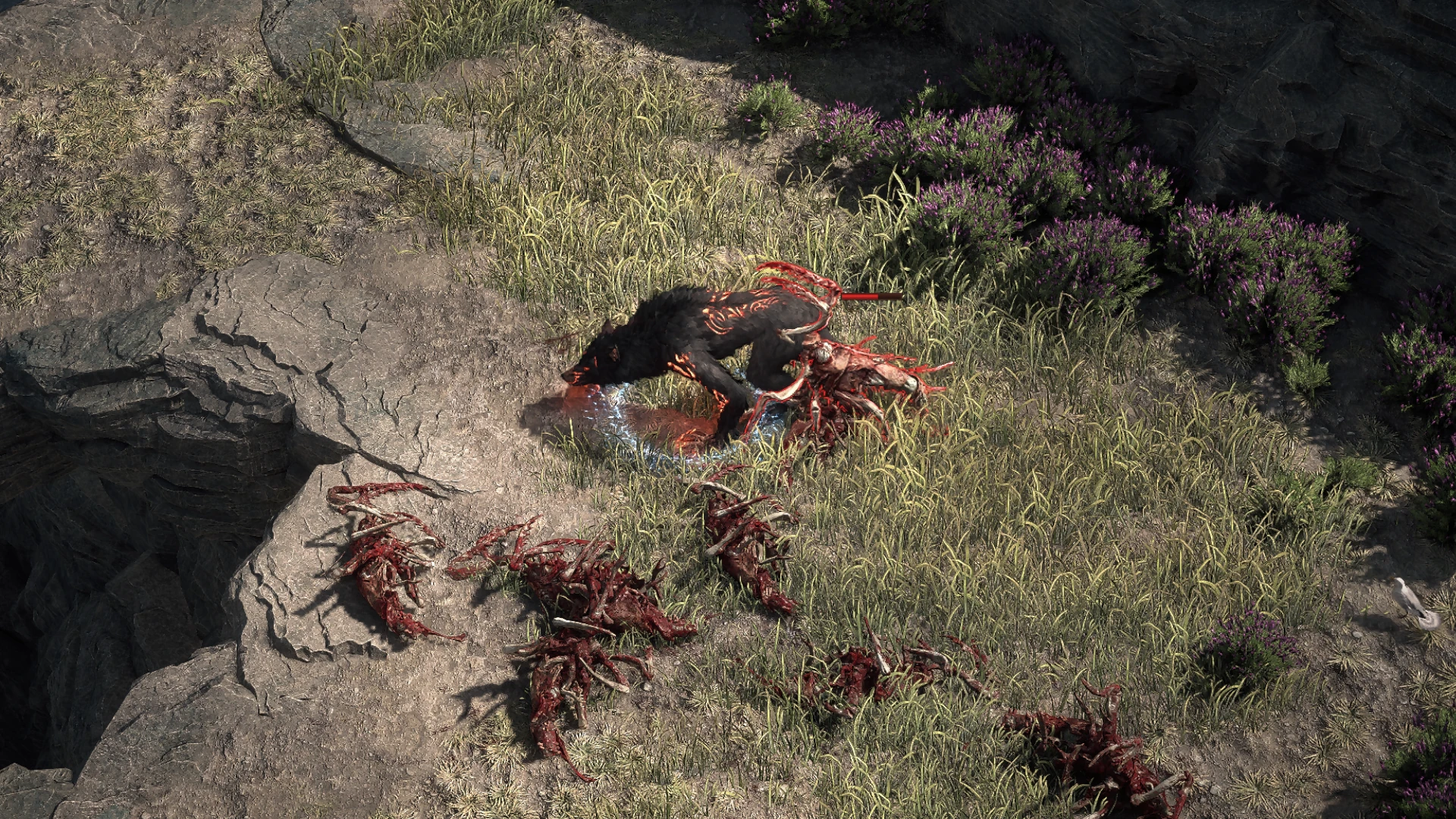 Nymph Wasp encountered in Arastas in Path of Exile 2