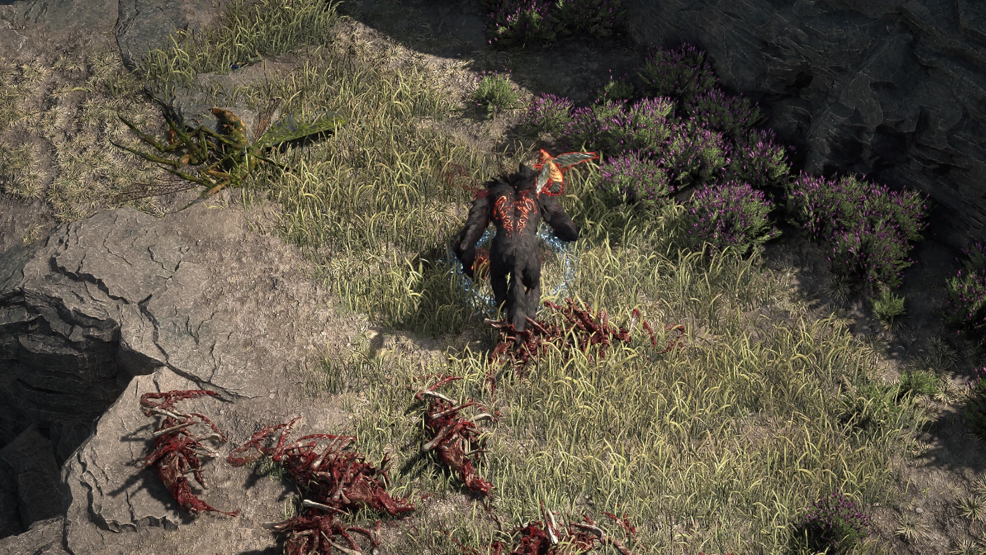 Swarming Wasp encountered in Arastas in Path of Exile 2