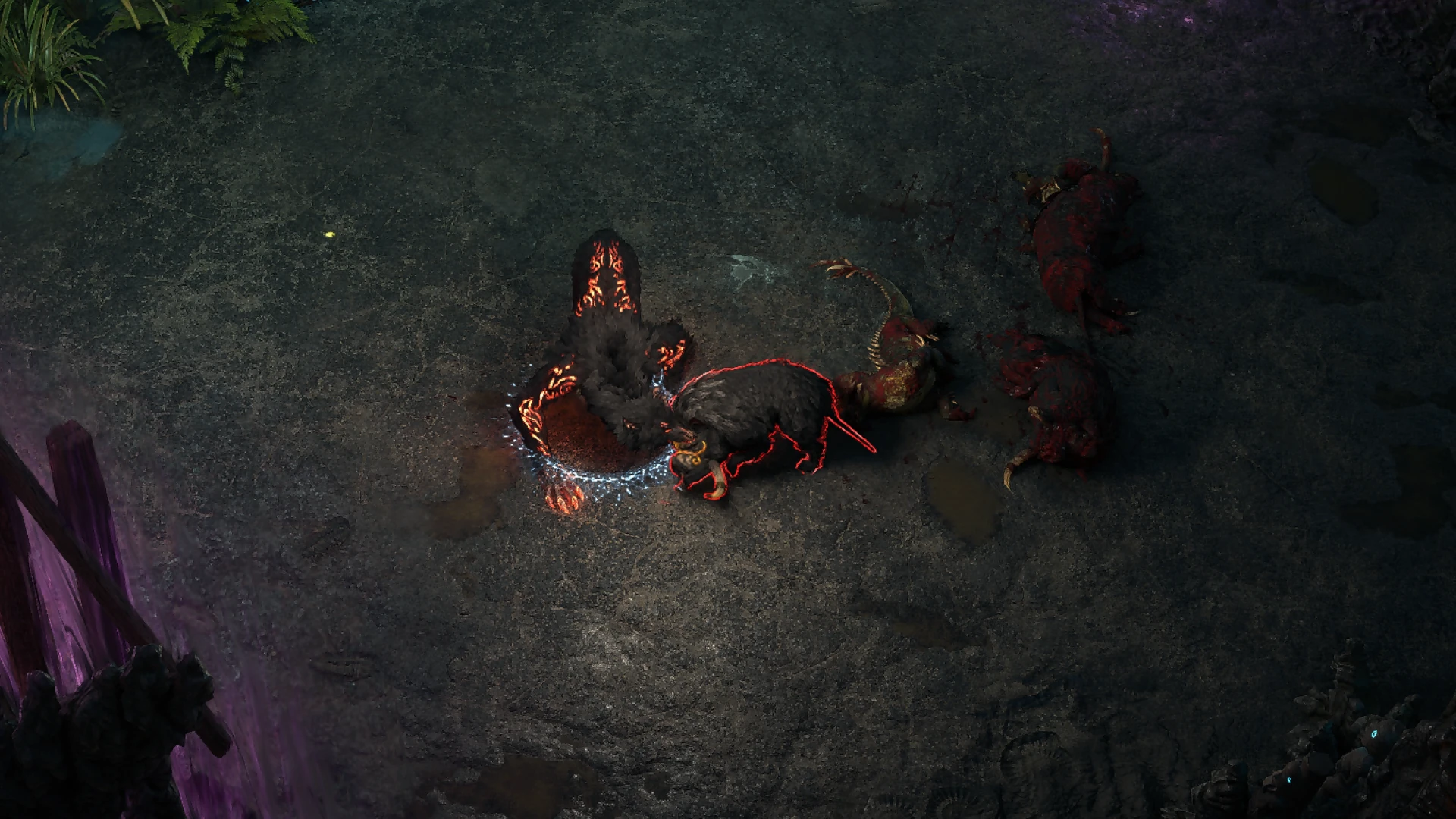 Tawhoa's Boar encountered in Eye of Hinekora in Path of Exile 2